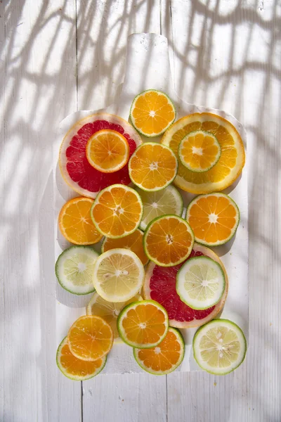 The colors of citrus fruits — Stock Photo, Image