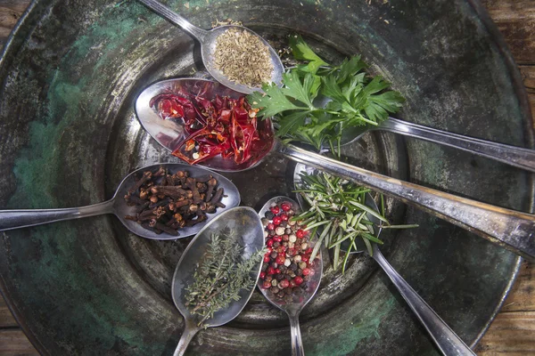 The spices in the kitchen — Stock Photo, Image