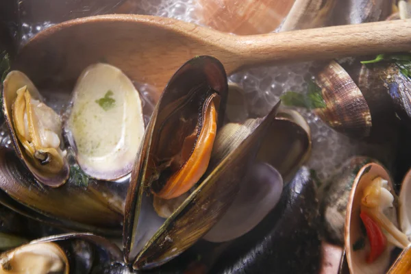 Sopa de mariscos — Foto de Stock