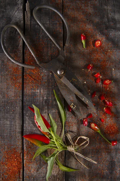 Polvere di peperoncino — Foto Stock