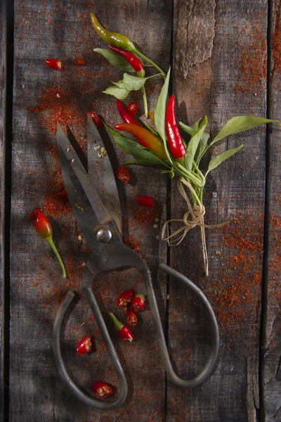 Polvere di peperoncino — Foto Stock