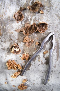 Fındıkkıran fındık