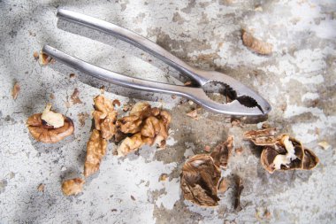 Fındıkkıran fındık