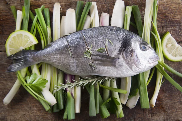 Raw sea bream — Stock Photo, Image