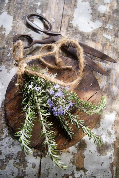 Sprigs of rosemary — Stock Photo, Image