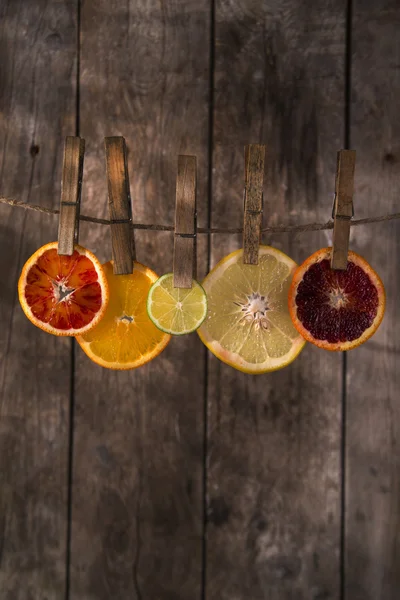 The colors of the citrus fruit — Stock Photo, Image