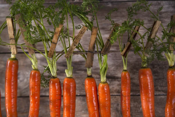 Ramo de zanahorias — Foto de Stock