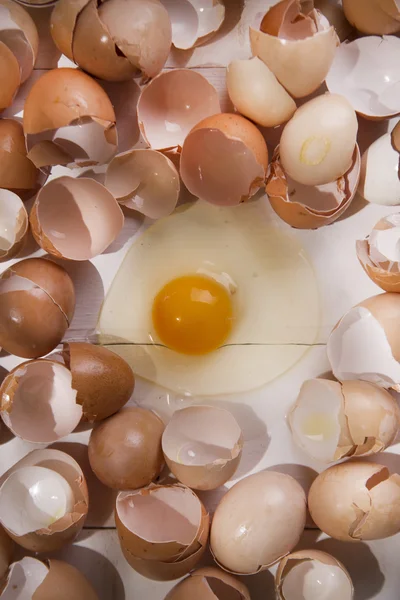 Broken eggshells — Stock Photo, Image