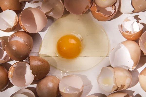 Broken eggshells — Stock Photo, Image