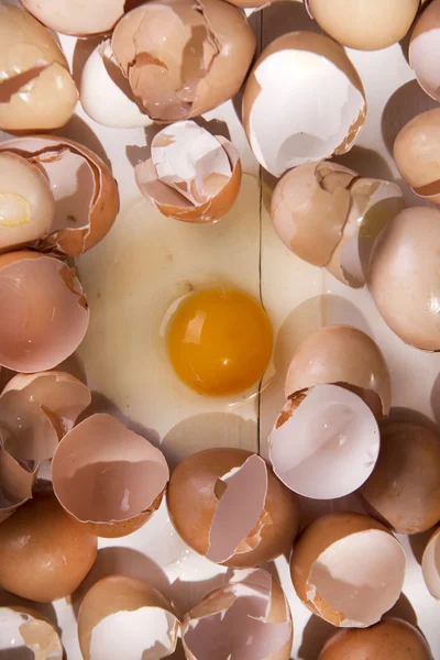 Broken eggshells — Stock Photo, Image