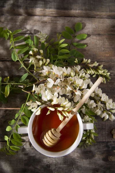 Miele di acacia — Foto Stock