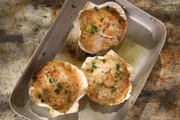 Scallops au gratin — Stock Photo, Image