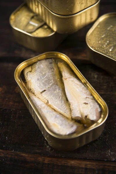 Canned sardines Stock Image