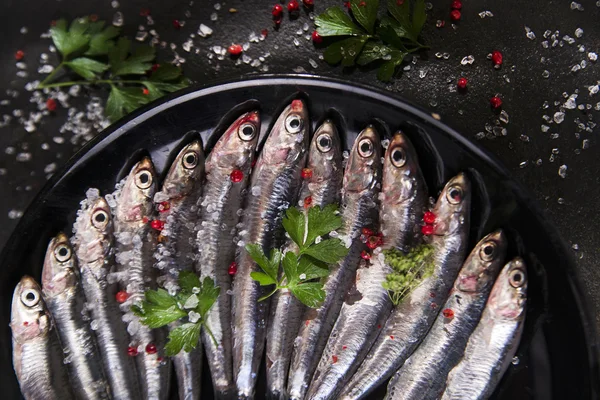 Anchoas crudas — Foto de Stock