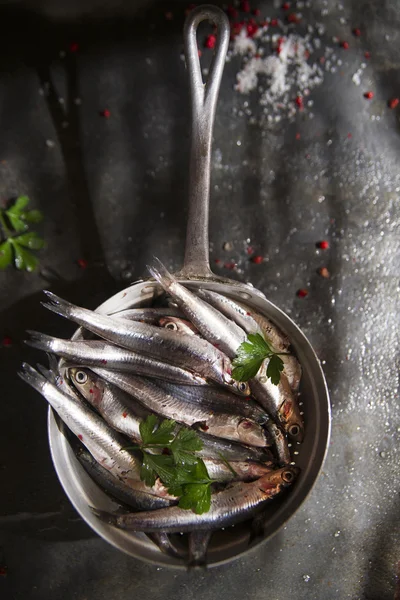 Anchovas — Fotografia de Stock