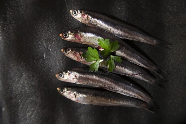 Raw anchovies — Stock Photo, Image