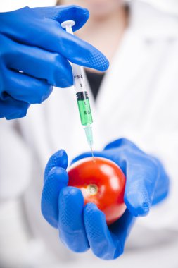 genetik olarak değiştirilmiş
