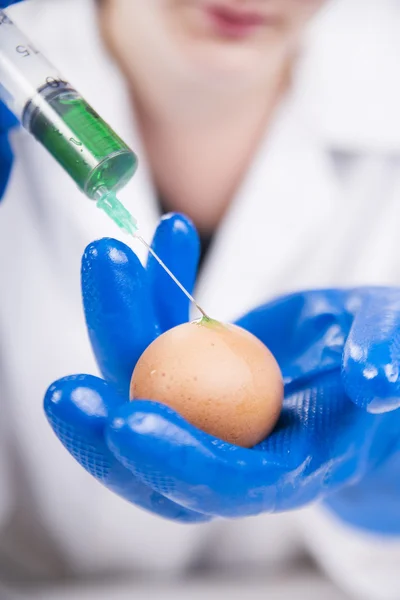 Genetically modified — Stock Photo, Image