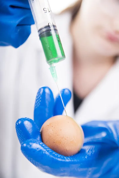 Genetically modified — Stock Photo, Image