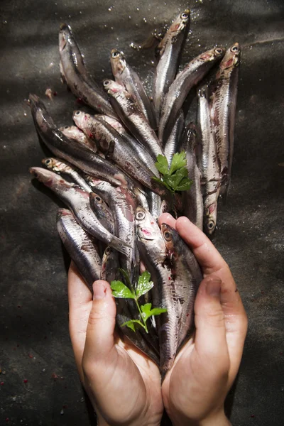 Mãos para anchovas — Fotografia de Stock