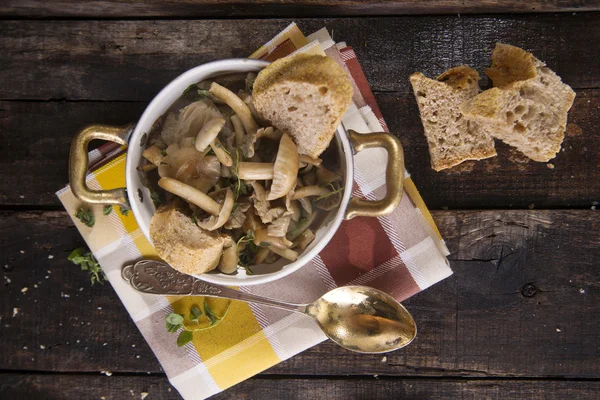 Mushroom soup Pioppino — Stock Photo, Image