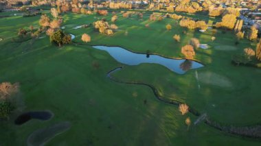 Yeşil çayır, canlı renkler ve doğal atmosfer üzerinde kırmızı ve sarı yapraklı sonbahar ağaçlarının hava videosu.. 