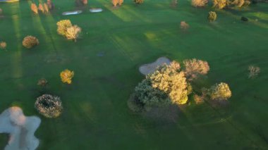 Yeşil çayır, canlı renkler ve doğal atmosfer üzerinde kırmızı ve sarı yapraklı sonbahar ağaçlarının hava videosu.. 