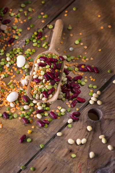 Hülsenfrüchte gemischt — Stockfoto