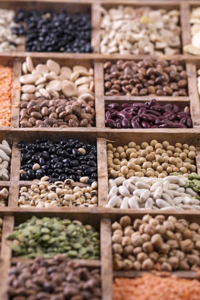 The legumes mixed — Stock Photo, Image