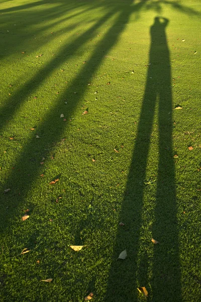 Lange Schatten fotografieren — Stockfoto