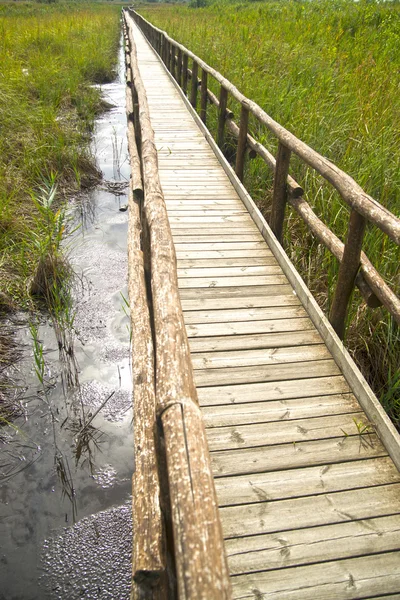 Pedestrian path on wooden poles — Stock Photo, Image