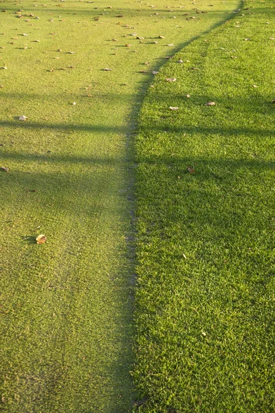 Gras auf einem Golfplatz — Stockfoto