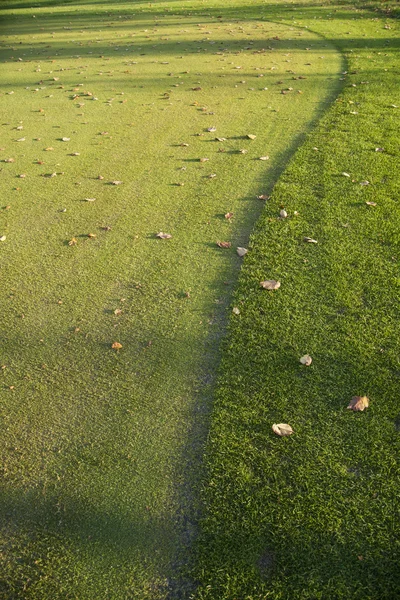 Gras auf einem Golfplatz — Stockfoto