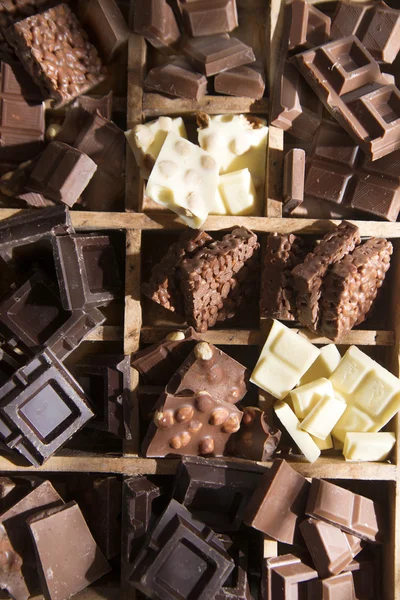 The colors of chocolate — Stock Photo, Image