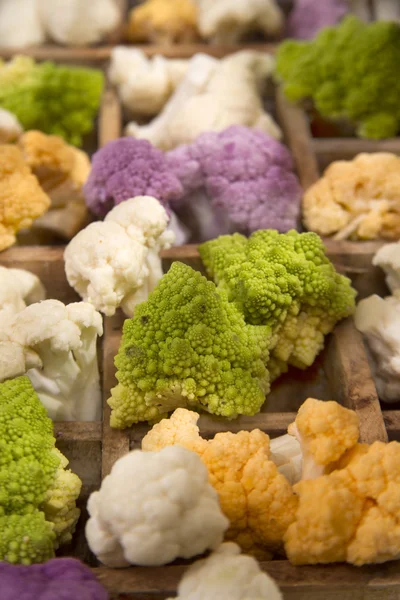 The Colors of cauliflower — Stock Photo, Image