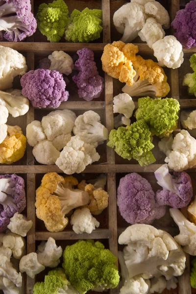 Los colores de la coliflor — Foto de Stock