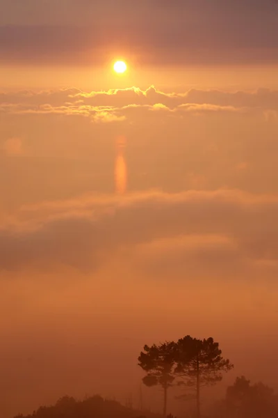 De mist bij zonsondergang — Stockfoto
