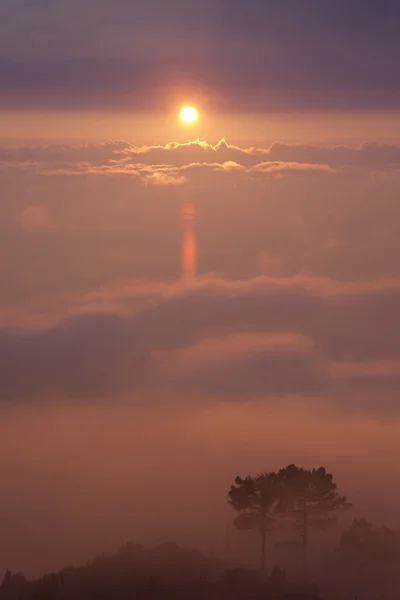 De mist bij zonsondergang — Stockfoto