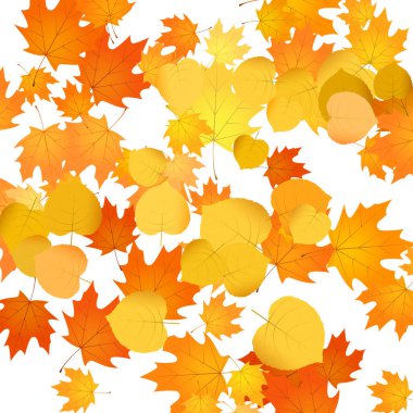 Sonbahar yaprakları arka plan. Yapraksız desen çizimi