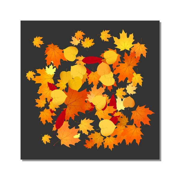 Scatter Leaves Background Foliage Autumn Backdrop Illustration — Stock Vector
