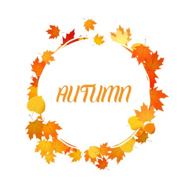 Sonbahar çiçekli arka plan. Beyaz arkaplanda izole edilmiş bırakmalar