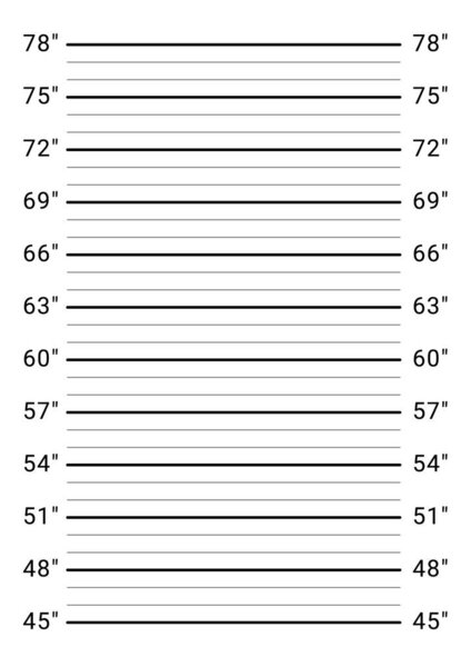 Полицейский фоторобот. Шаблон фотографии. Фон парада идентичности