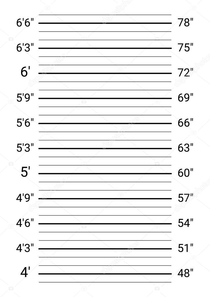 Mugshot background. Police lineup wall with an imperial units scale.