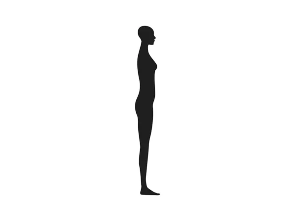 Vista Lateral Uma Silhueta Corpo Humano Feminino — Vetor de Stock