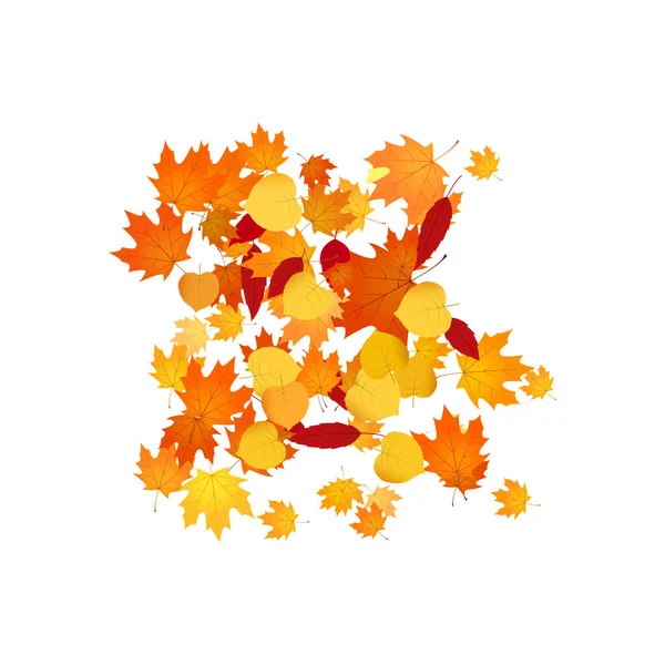 Une Pile Feuilles Tombées Tas Feuilles Automne Orange Jaune Rouge — Image vectorielle