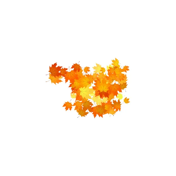 Une Pile Feuilles Tombées Tas Feuilles Automne Orange Jaune Rouge — Image vectorielle