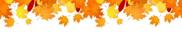 紅葉と秋のバナーオーバーレイ — ストックベクタ