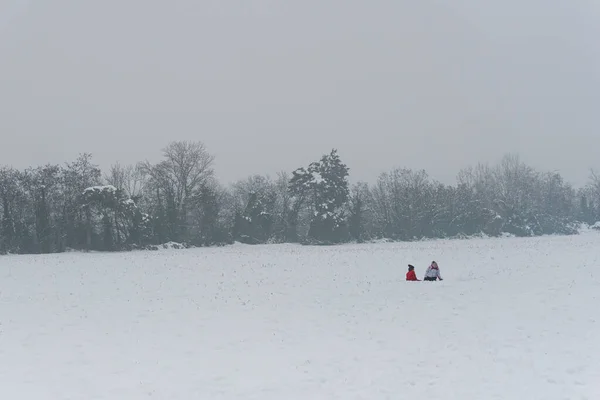 Dwóch Małych Chłopców Bawi Się Śnieżnej Łące Zimowy Dzień Ludzie — Zdjęcie stockowe