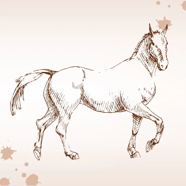 Dibujo a mano de caballo — Vector de stock