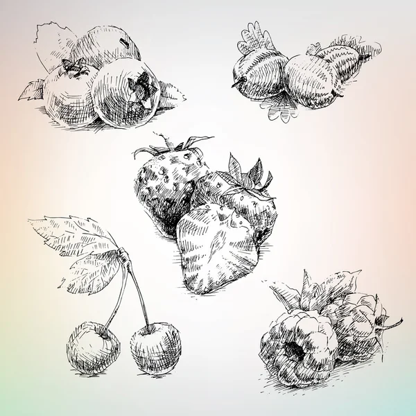 Set of berries drawing — Stock Vector